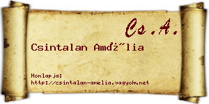 Csintalan Amélia névjegykártya